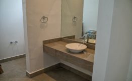 Casa en venta Ebanos NL baño