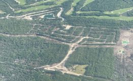 Terrenos en venta Lausana vista aerea 1